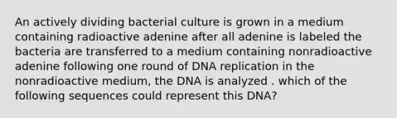 An actively dividing bacterial culture is grown in a medium containing radioactive adenine after all adenine is labeled the bacteria are transferred to a medium containing nonradioactive adenine following one round of DNA replication in the nonradioactive medium, the DNA is analyzed . which of the following sequences could represent this DNA?