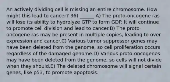 An actively dividing cell is missing an entire chromosome. How might this lead to cancer? 36) ______ A) The proto-oncogene ras will lose its ability to hydrolyze GTP to form GDP. It will continue to promote <a href='https://www.questionai.com/knowledge/kjHVAH8Me4-cell-division' class='anchor-knowledge'>cell division</a> and lead to cancer.B) The proto-oncogene ras may be present in multiple copies, leading to over expression and cancer.C) Various tumor suppressor genes may have been deleted from the genome, so cell proliferation occurs regardless of the damaged genome.D) Various proto-oncogenes may have been deleted from the genome, so cells will not divide when they should.E) The deleted chromosome will signal certain genes, like p53, to promote apoptosis.