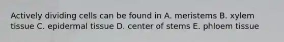 Actively dividing cells can be found in A. meristems B. xylem tissue C. epidermal tissue D. center of stems E. phloem tissue