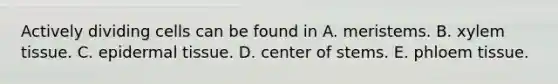 Actively dividing cells can be found in A. meristems. B. xylem tissue. C. epidermal tissue. D. center of stems. E. phloem tissue.