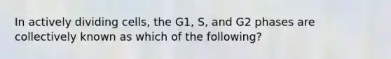 In actively dividing cells, the G1, S, and G2 phases are collectively known as which of the following?