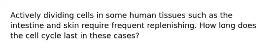 Actively dividing cells in some human tissues such as the intestine and skin require frequent replenishing. How long does the cell cycle last in these cases?