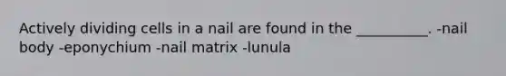 Actively dividing cells in a nail are found in the __________. -nail body -eponychium -nail matrix -lunula