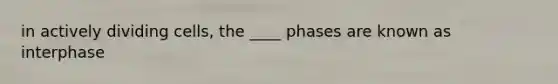 in actively dividing cells, the ____ phases are known as interphase