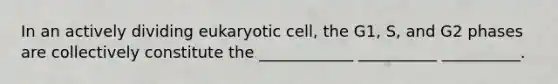 In an actively dividing eukaryotic cell, the G1, S, and G2 phases are collectively constitute the ____________ __________ __________.