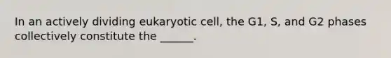 In an actively dividing eukaryotic cell, the G1, S, and G2 phases collectively constitute the ______.