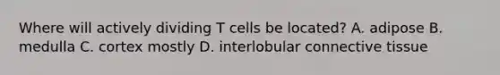 Where will actively dividing T cells be located? A. adipose B. medulla C. cortex mostly D. interlobular connective tissue