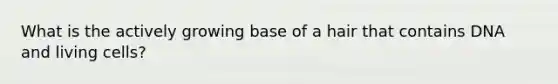 What is the actively growing base of a hair that contains DNA and living cells?