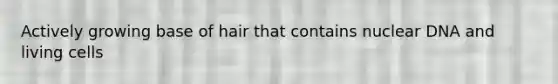 Actively growing base of hair that contains nuclear DNA and living cells