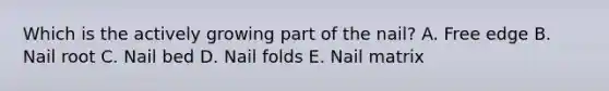 Which is the actively growing part of the nail? A. Free edge B. Nail root C. Nail bed D. Nail folds E. Nail matrix