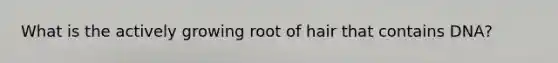 What is the actively growing root of hair that contains DNA?