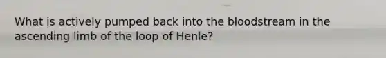 What is actively pumped back into the bloodstream in the ascending limb of the loop of Henle?