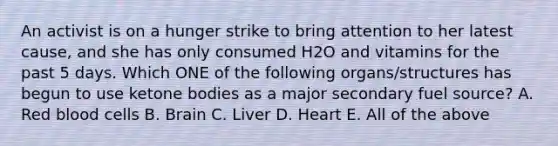 An activist is on a hunger strike to bring attention to her latest cause, and she has only consumed H2O and vitamins for the past 5 days. Which ONE of the following organs/structures has begun to use ketone bodies as a major secondary fuel source? A. Red blood cells B. Brain C. Liver D. Heart E. All of the above