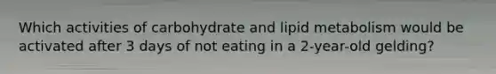 Which activities of carbohydrate and lipid metabolism would be activated after 3 days of not eating in a 2-year-old gelding?