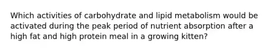 Which activities of carbohydrate and lipid metabolism would be activated during the peak period of nutrient absorption after a high fat and high protein meal in a growing kitten?