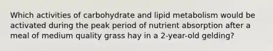 Which activities of carbohydrate and lipid metabolism would be activated during the peak period of nutrient absorption after a meal of medium quality grass hay in a 2-year-old gelding?