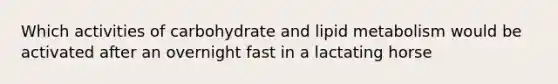 Which activities of carbohydrate and lipid metabolism would be activated after an overnight fast in a lactating horse