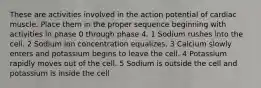 These are activities involved in the action potential of cardiac muscle. Place them in the proper sequence beginning with activities in phase 0 through phase 4. 1 Sodium rushes into the cell. 2 Sodium ion concentration equalizes. 3 Calcium slowly enters and potassium begins to leave the cell. 4 Potassium rapidly moves out of the cell. 5 Sodium is outside the cell and potassium is inside the cell