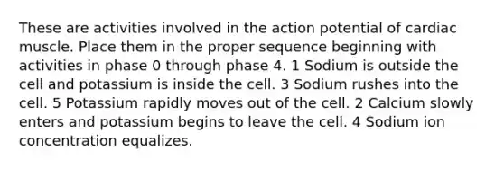 These are activities involved in the action potential of cardiac muscle. Place them in the proper sequence beginning with activities in phase 0 through phase 4. 1 Sodium is outside the cell and potassium is inside the cell. 3 Sodium rushes into the cell. 5 Potassium rapidly moves out of the cell. 2 Calcium slowly enters and potassium begins to leave the cell. 4 Sodium ion concentration equalizes.