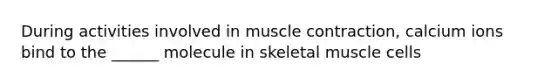 During activities involved in muscle contraction, calcium ions bind to the ______ molecule in skeletal muscle cells