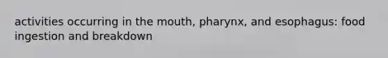 activities occurring in <a href='https://www.questionai.com/knowledge/krBoWYDU6j-the-mouth' class='anchor-knowledge'>the mouth</a>, pharynx, and esophagus: food ingestion and breakdown