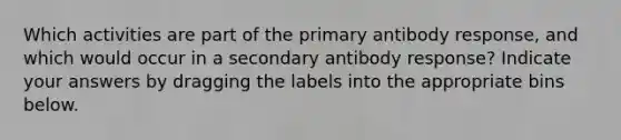 Which activities are part of the primary antibody response, and which would occur in a secondary antibody response? Indicate your answers by dragging the labels into the appropriate bins below.