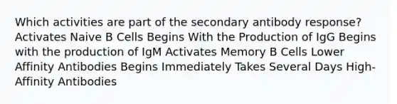 Which activities are part of the secondary antibody response? Activates Naive B Cells Begins With the Production of IgG Begins with the production of IgM Activates Memory B Cells Lower Affinity Antibodies Begins Immediately Takes Several Days High-Affinity Antibodies