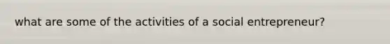 what are some of the activities of a social entrepreneur?