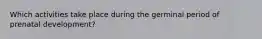 Which activities take place during the germinal period of prenatal development?