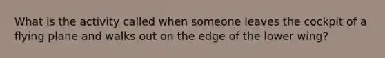 What is the activity called when someone leaves the cockpit of a flying plane and walks out on the edge of the lower wing?