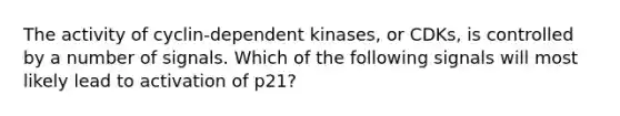 The activity of cyclin-dependent kinases, or CDKs, is controlled by a number of signals. Which of the following signals will most likely lead to activation of p21?