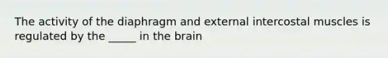 The activity of the diaphragm and external intercostal muscles is regulated by the _____ in the brain