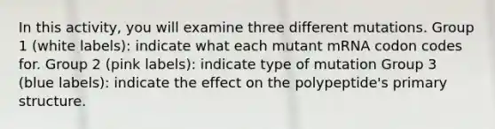 In this activity, you will examine three different mutations. Group 1 (white labels): indicate what each mutant mRNA codon codes for. Group 2 (pink labels): indicate type of mutation Group 3 (blue labels): indicate the effect on the polypeptide's primary structure.