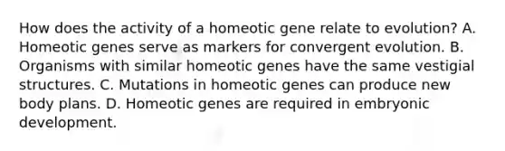 How does the activity of a homeotic gene relate to evolution? A. Homeotic genes serve as markers for convergent evolution. B. Organisms with similar homeotic genes have the same vestigial structures. C. Mutations in homeotic genes can produce new body plans. D. Homeotic genes are required in embryonic development.