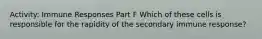 Activity: Immune Responses Part F Which of these cells is responsible for the rapidity of the secondary immune response?