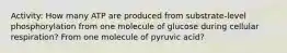 Activity: How many ATP are produced from substrate-level phosphorylation from one molecule of glucose during cellular respiration? From one molecule of pyruvic acid?