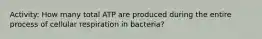 Activity: How many total ATP are produced during the entire process of cellular respiration in bacteria?