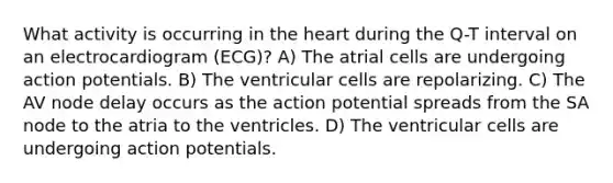 What activity is occurring in the heart during the Q-T interval on an electrocardiogram (ECG)? A) The atrial cells are undergoing action potentials. B) The ventricular cells are repolarizing. C) The AV node delay occurs as the action potential spreads from the SA node to the atria to the ventricles. D) The ventricular cells are undergoing action potentials.