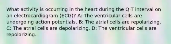 What activity is occurring in the heart during the Q-T interval on an electrocardiogram (ECG)? A: The ventricular cells are undergoing action potentials. B: The atrial cells are repolarizing. C: The atrial cells are depolarizing. D: The ventricular cells are repolarizing.