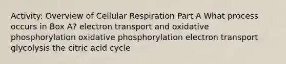 Activity: Overview of Cellular Respiration Part A What process occurs in Box A? electron transport and oxidative phosphorylation oxidative phosphorylation electron transport glycolysis the citric acid cycle