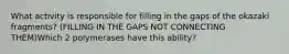 What activity is responsible for filling in the gaps of the okazaki fragments? (FILLING IN THE GAPS NOT CONNECTING THEM)Which 2 polymerases have this ability?