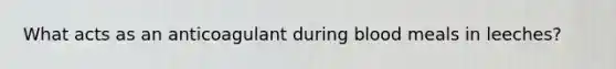 What acts as an anticoagulant during blood meals in leeches?