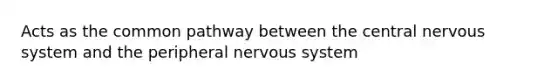 Acts as the common pathway between the central <a href='https://www.questionai.com/knowledge/kThdVqrsqy-nervous-system' class='anchor-knowledge'>nervous system</a> and the peripheral nervous system