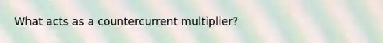 What acts as a countercurrent multiplier?