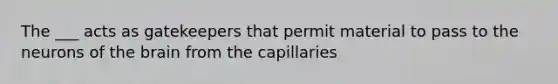 The ___ acts as gatekeepers that permit material to pass to the neurons of <a href='https://www.questionai.com/knowledge/kLMtJeqKp6-the-brain' class='anchor-knowledge'>the brain</a> from the capillaries