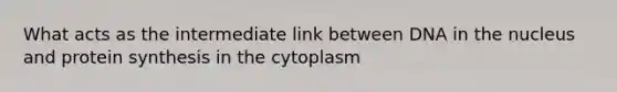 What acts as the intermediate link between DNA in the nucleus and <a href='https://www.questionai.com/knowledge/kVyphSdCnD-protein-synthesis' class='anchor-knowledge'>protein synthesis</a> in the cytoplasm