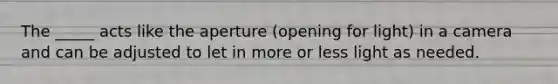 The _____ acts like the aperture (opening for light) in a camera and can be adjusted to let in more or less light as needed.