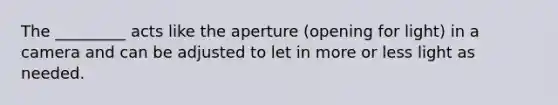 The _________ acts like the aperture (opening for light) in a camera and can be adjusted to let in more or less light as needed.