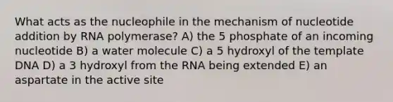 What acts as the nucleophile in the mechanism of nucleotide addition by RNA polymerase? A) the 5 phosphate of an incoming nucleotide B) a water molecule C) a 5 hydroxyl of the template DNA D) a 3 hydroxyl from the RNA being extended E) an aspartate in the active site