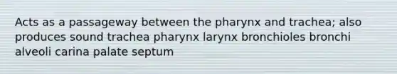 Acts as a passageway between the pharynx and trachea; also produces sound trachea pharynx larynx bronchioles bronchi alveoli carina palate septum